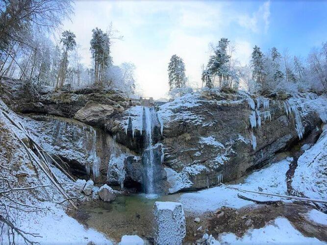 Bergchalet Falkenstein, Инцелль Экстерьер фото